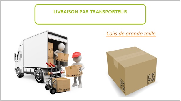 Livraison par transporteur